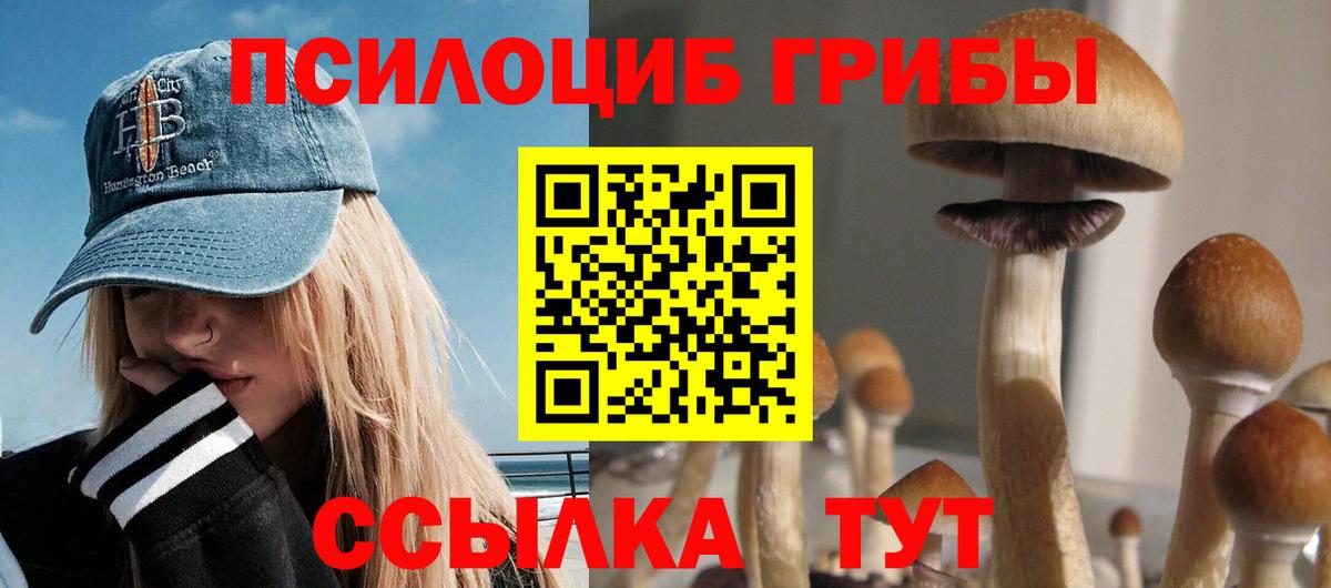 Псилоцибиновые грибы Psilocybe Сатка